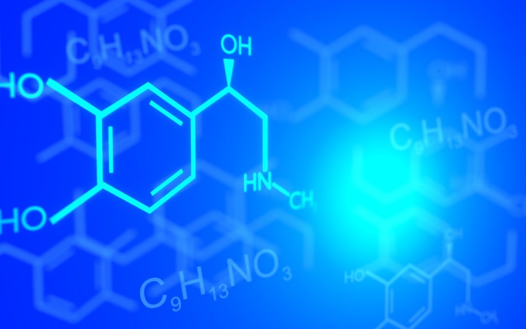 Wie das Hormon Leptin beim effektiven Abnehmen hilft